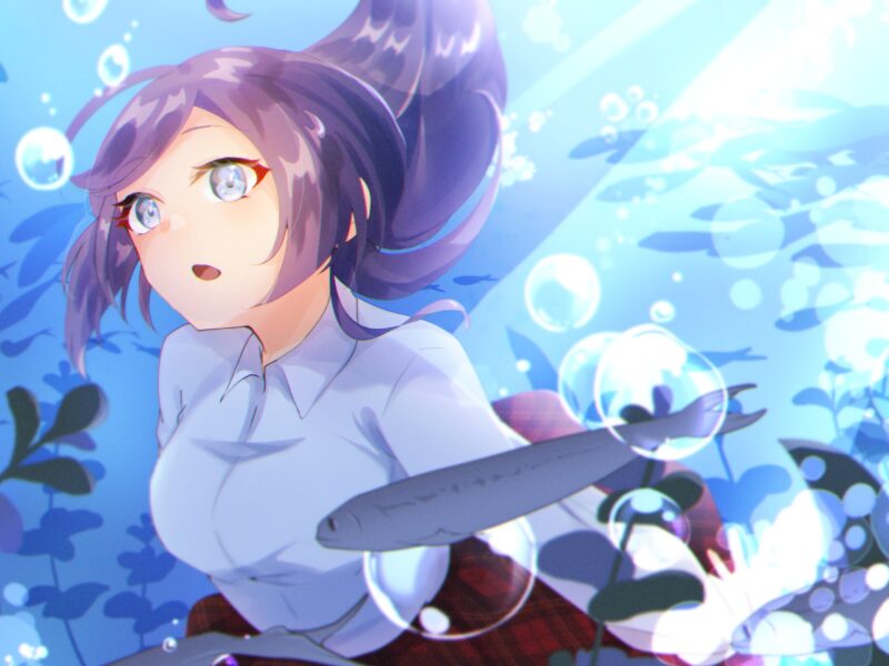 一枚絵